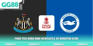 Phân tích nhận định Newcastle vs Brighton 02/05