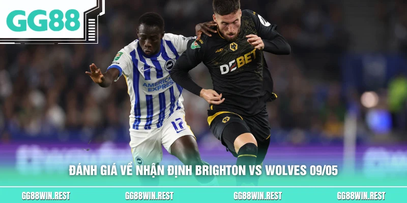 Đánh giá về nhận định Brighton vs Wolves 09/05