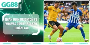 Nhận Định Brighton Vs Wolves 09/05 - Soi Kèo Chuẩn Xác